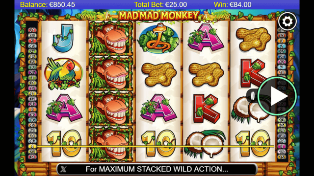 Характеристики слота Mad Mad Monkey 5